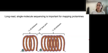 fragile nucleosome screenshot