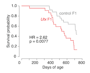 Utx survival curves